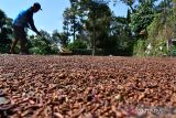 Warga menjemur cengkeh di Kare, Kabupaten Madiun, Jawa Timur, Rabu (27/7/2022). Harga cengkeh di tingkat petani di wilayah tersebut saat ini mengalami kenaikan dibanding musim panen tahun sebelumnya dari Rp15 ribu hingga Rp16 ribu menjadi Rp40 ribu hingga Rp41 ribu per kilogram dalam kondisi basah dan cengkeh kering dari Rp50 hingga Rp51 ribu menjadi Rp123 ribu hingga Rp125 ribu per kilogram. ANTARA Jatim/Siswowidodo/zk