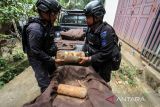 Personel Detasemen Gegana Satuan Brimobda Polda Aceh mengevakuasi bom rakitan aktif di Desa Paloh Batee, Kecamatan Muara Dua, Lhokseumawe, Aceh, Kamis (28/7/2022). Lima unit bom berdaya ledak tinggi terdiri dari 2 unit dalam bentuk Jeriken 35 liter, 3 unit dalam pipa masing-masing seberat 20-60 kilogram tersebut ditemukan warga di kompleks pemakaman desa yang diduga bom peninggalan konflik pada masa pertikaian Gerakan Aceh Merdeka (GAM). ANTARA FOTO/Rahmad