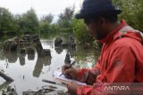 Petugas Balai Pelestarian Cagar Budaya Aceh, bersama Perhubungan Kodam skandar Muda, Masyarakat Peduli Sejarah Aceh (Mapesa) dan Polri mendata sejumlah temuan batu nisan yang terkubur dalam lumpur saat bakti sosial di lokasi situs sejarah Kerajaan Aceh Darussalam, Kampung Pande, Banda Aceh, Jumat (29/7/22). Bakti sosial tersebut untuk menyelamatkan dan penataan kembali ribuan batu nisan dan benda sejarah lainnya peninggal masa kerajaan Aceh Darussalam abad  ke-16 yang rusak dan terkubur dalam lumpur dampak dari bencana tsunami 26 Desember 2004. ANTARA FOTO/Ampelsa.