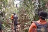 Warga hilang di hutan Aceh Barat ditemukan dalam keadaan lemas dan linglung