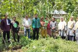 Wabup Limapuluh Kota siapkan 20.000 bibit durian Musang King untuk anak yatim
