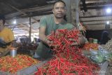 Harga cabe kriting di pasar Kota Kupang tembus Rp100 ribu per Kg