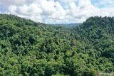 BPKHTL Kupang targetkan batas kawasan hutan sepanjang 1.852 km pada 2023