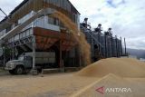 Panen menurun, Rusia kurangi ekspor biji-bijian