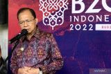 Gubernur I Wayan: Senator Australia Pauline Hanson sebar kabar bohong soal Bali