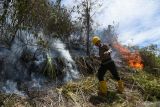 Polisi tangkap pelaku pembakaran hutan di Samosir