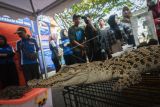Sejumlah pengunjung mengamati seekor buaya rawa (Crocodylus porosus) di sebuah pameran hewan reptil di Rangkasbitung, Lebak, Banten, Senin (8/8/2022). Kegiatan yang diselenggarakan komunitas pecinta reptil tersebut bertujuan untuk mengajak masyarakat agar menyayangi hewan sekaligus sebagai sarana edukasi mengenai berbagai jenis reptil dan cara perawatannya. ANTARA FOTO/Muhammad Bagus Khoirunas/wsj.