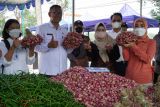 Tingkatkan pendapatan petani, Gunungkidul proyeksikan Karangrejek jadi kampung hortikultura