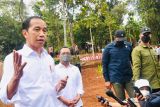 Presiden Jokowi sebut penugasan perwira aktif TNI di K/L belum mendesak