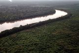 Foto udara lahan perkebunan kelapa sawit skala besar dan tanaman mangrove di kawasan penyangga Cagar Alam Hutan Bakau Pantai Timur Sumatera, Mendahara, Tanjungjabung Timur, Jambi, Rabu (10/8/2022). Warga setempat menyebutkan, tinggi muka air sungai selama musim pasang naik sejak tiga tahun terakhir di daerah itu terus meninggi sehingga mulai merendam kawasan permukiman setempat, sementara alih fungsi tanaman mangrove menjadi perkebunan kelapa sawit skala besar di daerah itu terus bertambah marak sejak lima tahun terakhir. ANTARA FOTO/Wahdi Septiawan/foc.
