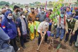 Menteri LHK tanam pohon, dukung pemberdayaan Suku Talang Mamak dan Melayu Tua