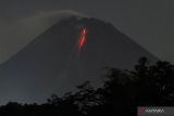 Guguran lava teramati 43 kali dari Gunung Merapi selama sepekan