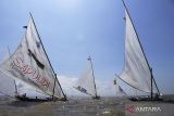 Perahu layar saling beradu kecepatan di Pantai Kenjeran Surabaya, Jawa Timur, Sabtu (13/8/2022). Sedikitnya 40 perahu layar beradu dalam perlombaan yang digelar  untuk menyemarakan hari kemerdekaan Republik Indonesia ke-77. ANTARA Jatim/Hildaniar Novitasari/ZK