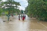 BPBD:  Puluhan warga Desa Torue mengungsi pascabanjir susulan