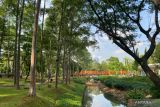 Aplikasi JAKI mudahkan warga kunjungi Tebet Eco Park