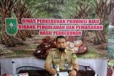 Dinas Perkebunan Riau sebut Harga sawit di Riau naik jadi Rp2.433,66/kg