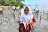 Sulteng aktifkan kelompok kerja mangrove daerah