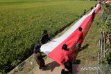 Warga melaksanakan kirab bendera merah putih terpanjang di Desa Jumbleng, Kecamatan Losarang, Indramayu, Jawa Barat, Rabu (17/8/2022). Kegiatan kirab bendera Merah Putih sepanjang 500 meter yang digelar oleh komunitas Gubug Merah Putih itu dalam rangka memperingati HUT ke-77 Kemerdekaan RI. ANTARA FOTO/Dedhez Anggara/agr