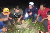 Polres Pasangkayu Sulbar tangkap pelaku penyalahgunaan narkoba
