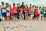 Pemuda di Manggarai Barat lepas 422 tukik