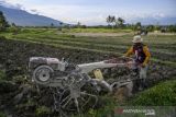 Pemprov Sulteng:  Inovasi pertanian mampu tingkatkan produksi pangan