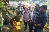 Festival Orangutan bangkitkan wisata Bukit Lawang