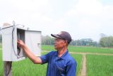 PLN dukung sektor pertanian Lampung melalui 