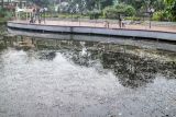 Kondisi Situ Cibinong yang mengalami pendangkalan di Cibinong, Kabupaten Bogor, Jawa Barat, Rabu (24/8/2022). Pendangkalan Situ Cibinong yang berada di kawasan Pemerintah Kabupaten Bogor disebabkan banyaknya sampah dan gulma akibat kurangnya perawatan. ANTARA FOTO/Yulius Satria Wijaya/aww.