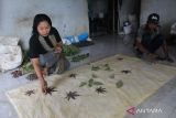 Fitria Ainul Latifah, menyelesaikan pembuatan kain batik dengan teknik ecoprint di Dusun Sumberjo, Kecamatan Wonosalam, Kabupaten Jombang,  Rabu (24/8/2022). Batik ecoprint yang keseluruhan prosesnya menggunakan bahan alami dan pewarna asli daun itu dijual mulai Rp135 ribu hingga Rp150 ribu per lembar kain ukuran 2x1 meter. ANTARA Jatin/Syaiful Arif/zk