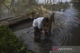 Warga menunjukan kondisi kolam ikan yang tercemar limbah dari Sungai Cikunir di Kampung Gunung Jambu, Kecamatan Mangkubumi, Kota Tasikmalaya, Jawa Barat, Kamis (25/8/2022). Sejak tahun 2012 Kondisi air aliran Sungai Cikunir yang bermuara ke Sungai Ciwulan tersebut berubah warna dan berlumpur yang diduga akibat limbah pencucian tambang pasir di Ciponyo, Kabupaten Tasikmalaya. ANTARA FOTO/Adeng Bustomi/agr