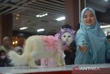 Peserta mengikuti lomba cat fashion week pada peringatan Hari Kucing Sedunia di Plaza Aceh, Banda Aceh, Minggu (28/8/2022). Peringatan Hari Kucing Sedunia dimeriahkan dengan  kegiatan  lomba kucing makan, cat fashion week dan koustum owner yang diikuti puluhan peserta dari komunitas pencinta binatang. ANTARA FOTO/Ampelsa.