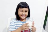 Bantu tingkatkan imun tubuh dengan minum susu