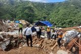 Tiga penambang emas ilegal di Poboya  tertimbun longsor