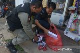 Petugas Kanwil Bea Cukai Aceh bersama Satpol PP mengamankan berbagai merek rokok ilegal asal luar negeri saat sidak di salah satu toko pedagang di kawasan Pasar Lambaro, Kabupaten Aceh Besar, Aceh, Senin (29/8/2022). Dalam operasi gabungan Bea Cukai bersama Satpol PP dan Polisi Militer Kodam Iskandar Muda itu, petugas selain mengamankan sejumlah rokok asal luar negeri tanpa  pita cukai, juga mengingatkan pedagang grosir dan pengecer agar tidak mengedarkan rokok ilegal. ANTARAFOTO/Ampelsa.