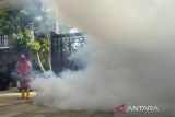 Petugas melakukan fogging atau pengasapan disalah satu  rumah warga yang positif kasus Demam Berdarah Dengue (DBD) di Desa Lambhuk, Banda Aceh, Aceh, Selasa (30/8/2022). Pemkot Banda Aceh terus melakukan pengasapan di beberapa desa untuk mencegah penyebaran penyakit  Demam Berdarah Dengue (DBD) sehubungan terjadinya peningkatan kasus sejak awal Januari hingga 25 Agustus 2022 bertambah menjadi 136 kasus mayoritas menyerang anak dan empat orang di antaranya meninggal. ANTARA FOTO/Ampelsa.