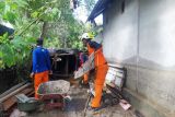 BPBD Sulteng : 500 jiwa korban banjir di Banggai mengungsi