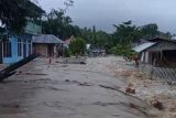BPBD  penuhi kebutuhan dasar warga terdampak banjir di Luwuk Timur