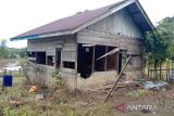 Kawanan gajah liar rusak rumah dan kebun warga Nagan Raya