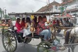 Pawai andong meriahkan pembukaan klinik kecantikan MS Glow di Yogyakarta