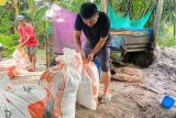 ASN Luwu Utara menyulap ampas sagu jadi pakan ikan