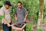 Masyarakat OKU budidayakan lebah madu Klanceng