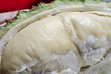 Durian tinggi kolesterol ternyata mitos