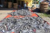 Pekerja mengumpulkan kerupuk kulit ikan di desa Kenanga, Indramayu, Jawa Barat, Minggu (11/9/2022). Kementerian Koperasi dan UKM telah menyiapkan beberapa program bantuan untuk pelaku UMKM yang terdampak kenaikan harga BBM. ANTARA FOTO/Dedhez Anggara/agr
