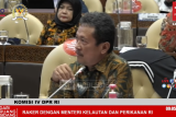 Menteri KP menggandeng Menkop agar koperasi sediakan solar nelayan