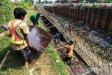 Pekerja menyelesaikan pembangunan saluran irigasi di Desa Lohbener, Kecamatan Lohbener, Indramayu, Jawa Barat, Selasa (13/9/2022). Kementerian Pekerjaan Umum dan Perumahan Rakyat memproyeksikan program Padat Karya Tunai (PKT) periode 2020-2022 menyerap 2,888 juta tenaga kerja guna mempercepat pemulihan ekonomi sekaligus daya beli masyarakat. ANTARA FOTO/Dedhez Anggara/agr
