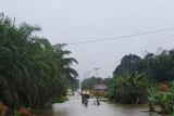Akses jalan utama Kecamatan Belitang Sekadau terendam banjir