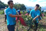 Pemkab Agam bersihkan Danau Maninjau dari pencemaran enceng gondok dan limbah (Video)
