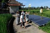 Wisatawan mengunjungi desa berbasis energi baru dan terbarukan (EBT) di Desa Keliki, Gianyar, Bali, Jumat (16/9/2022). Desa yang menerapkan agrikultur berbasis EBT yakni pengairan lahan pertanian menggunakan pompa air bertenaga surya tersebut sempat dikunjungi delegasi studi ekskursi Energy Transition Working Group (ETWG) G20 pada awal September 2022 lalu. ANTARA FOTO/Nyoman Hendra Wibowo/nym.