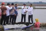 Menteri Koperasi dan UKM Teten Masduki (dua kanan) melihat proses pengolahan rumput laut Glacilaria di kampung nelayan desa Cangkring, Kecamatan Cantigi, Indramayu, Jawa Barat, Rabu (21/9/2022). Kunjungan tersebut upaya penguatan kelembagaan koperasi nelayan guna salah satunya melalui program SOLUSI Nelayan melalui rencana pembangunan Stasiun Pengisian Bahan Bakar Umum Nelayan (SPBUN). ANTARA FOTO/Dedhez Anggara/agr