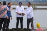 Menteri Koperasi dan UKM Teten Masduki (tengah) melihat proses pengolahan rumput laut Glacilaria di kampung nelayan desa Cangkring, Kecamatan Cantigi, Indramayu, Jawa Barat, Rabu (21/9/2022). Kunjungan tersebut upaya penguatan kelembagaan koperasi nelayan guna salah satunya melalui program SOLUSI Nelayan melalui rencana pembangunan Stasiun Pengisian Bahan Bakar Umum Nelayan (SPBUN). ANTARA FOTO/Dedhez Anggara/agr